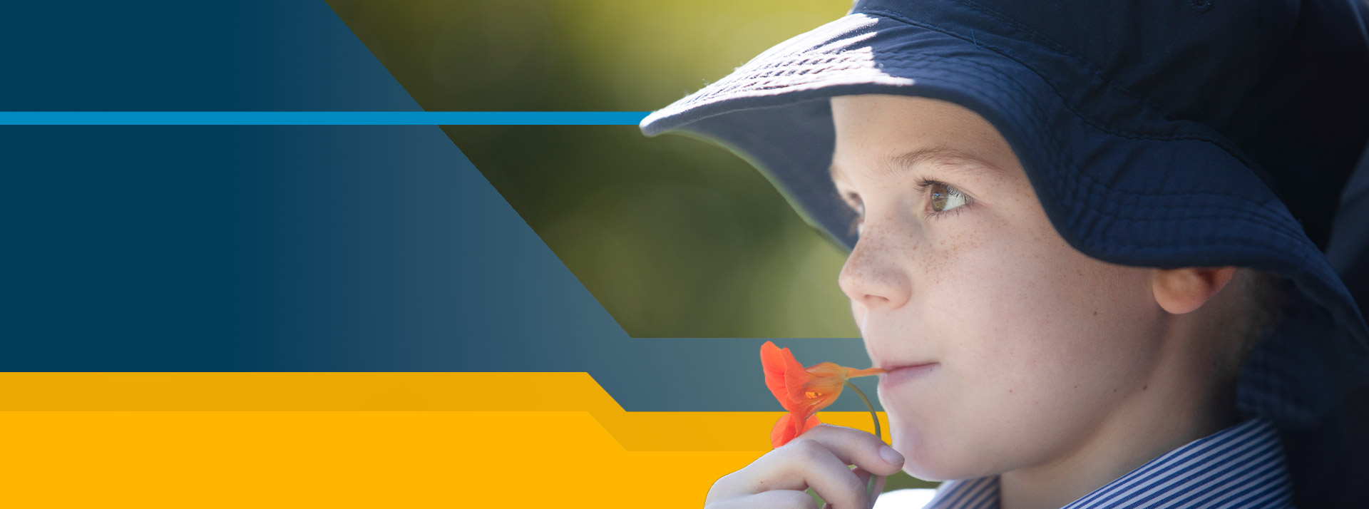 Where every student shines