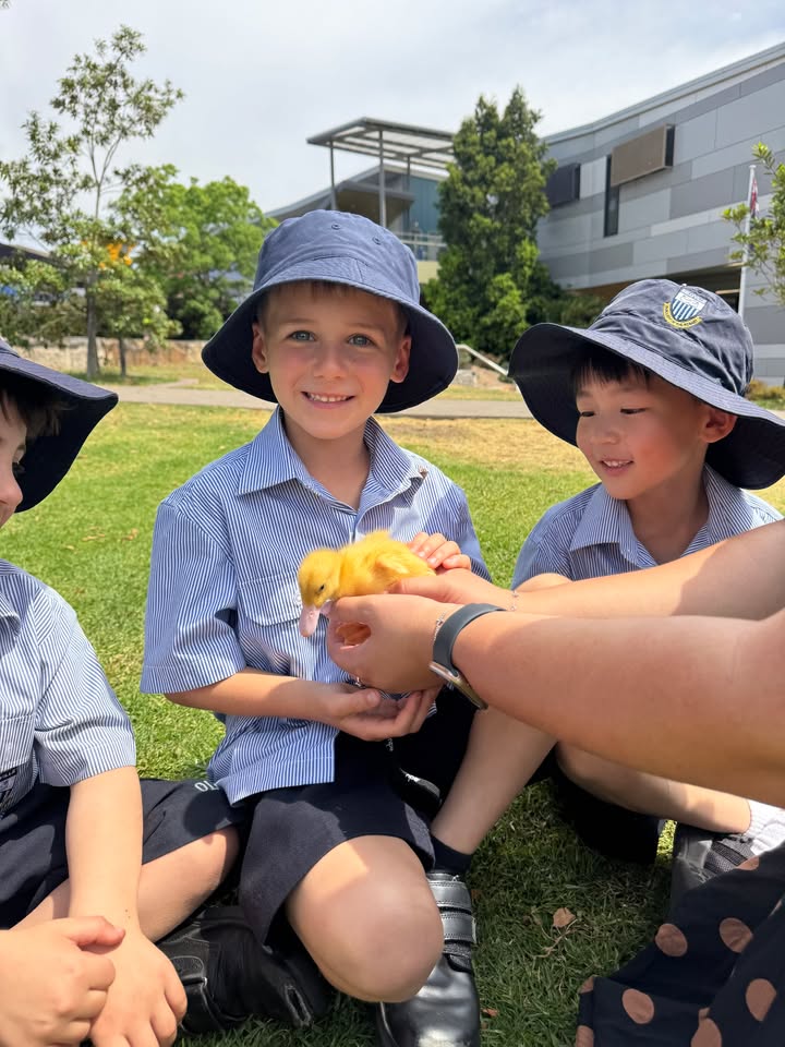 932332665570567_1331143009022862-1