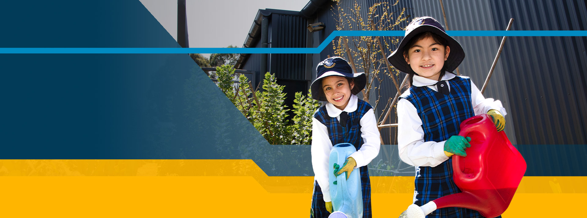 An ideal environment to grow