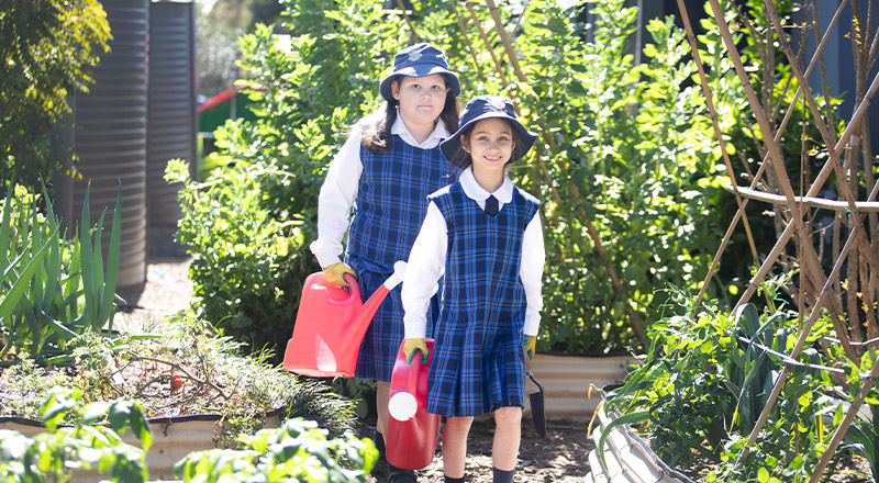 Students watering the school garden at Our Lady of The Rosary Primary School Kellyville