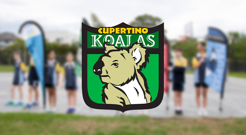 The house crest for the Cupertino Koalas at Our Lady of The Rosary Primary School Kellyville