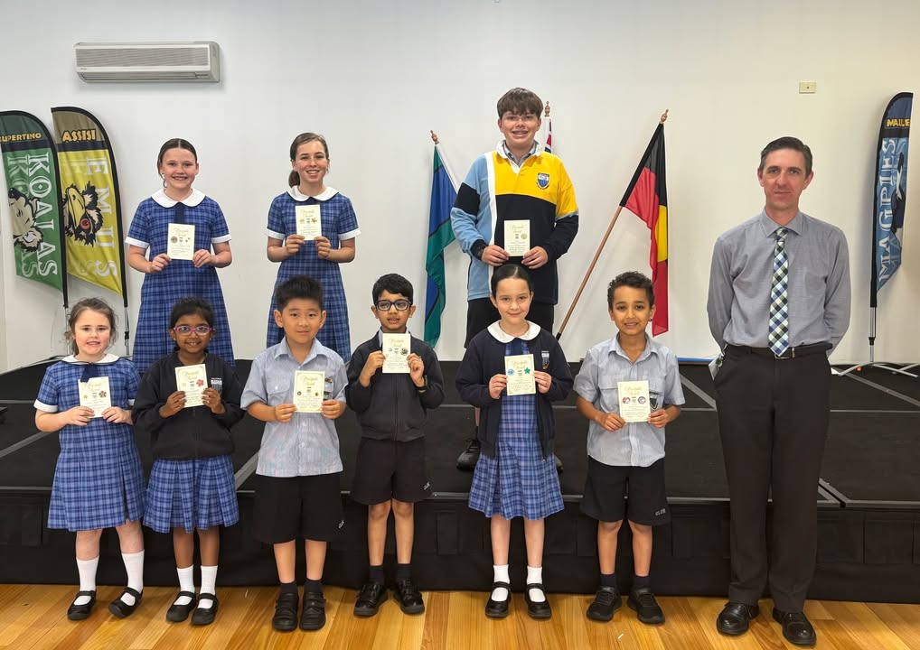 932332665570567_1355868823216947-1