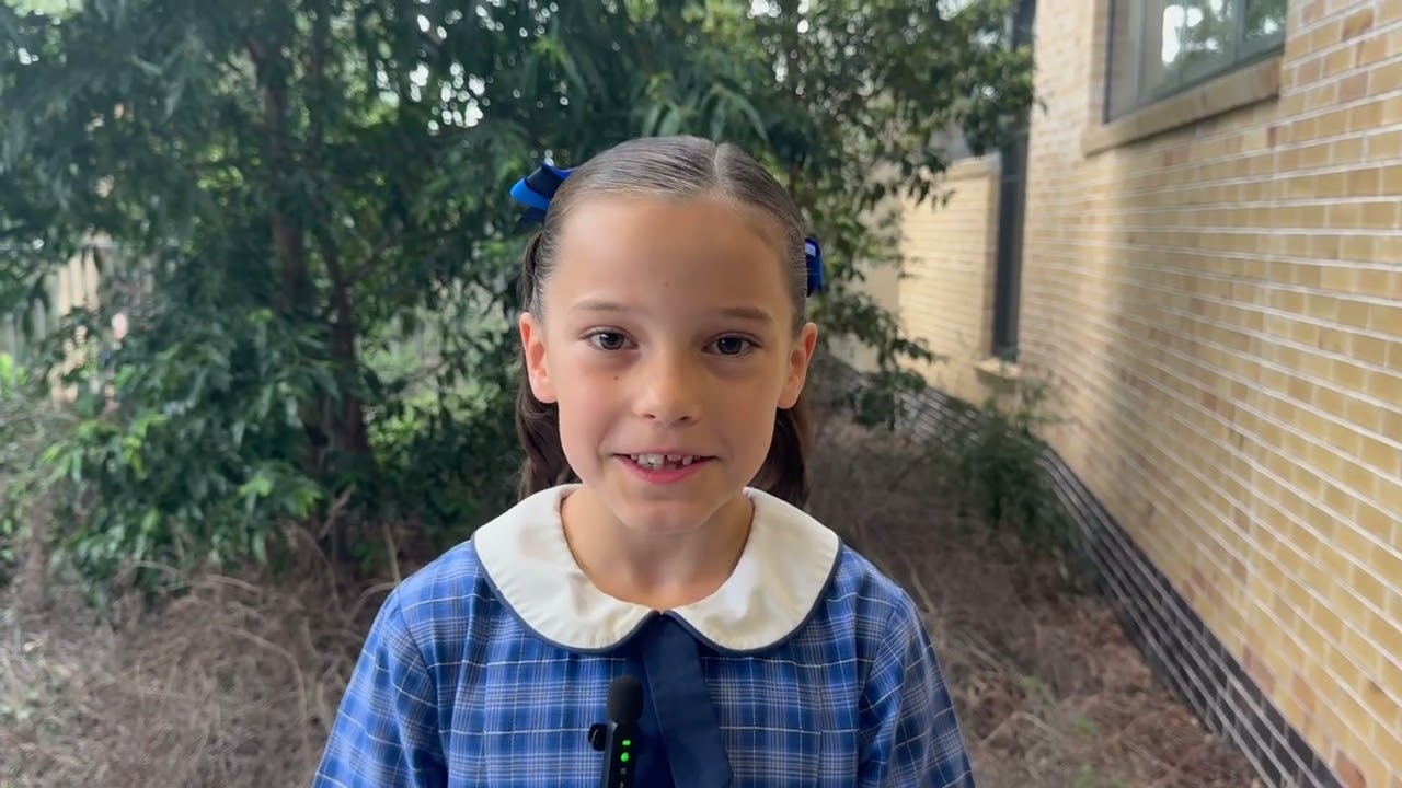 UExaVDU3S2xXWjFXbThMdl9lSHNHYk9NTmhHT3poTEpNWi4wMTcyMDhGQUE4NTIzM0Y5-1